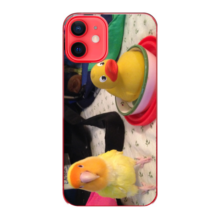 Cover personalizzata iPhone 12 Mini
