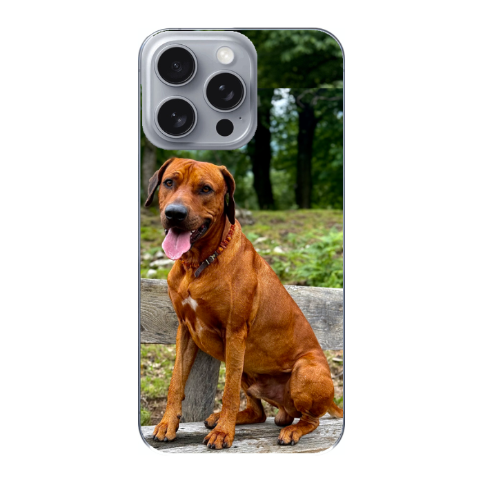 Cover personalizzata iPhone 16 Pro Max