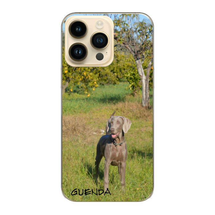 Cover personalizzata iPhone 14 Pro Max
