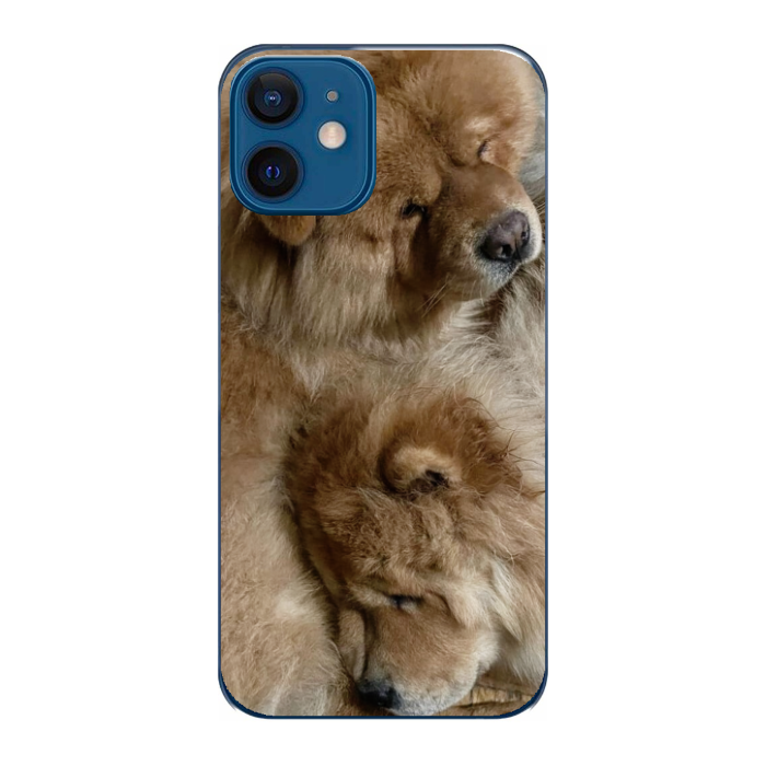 Cover personalizzata iPhone 12