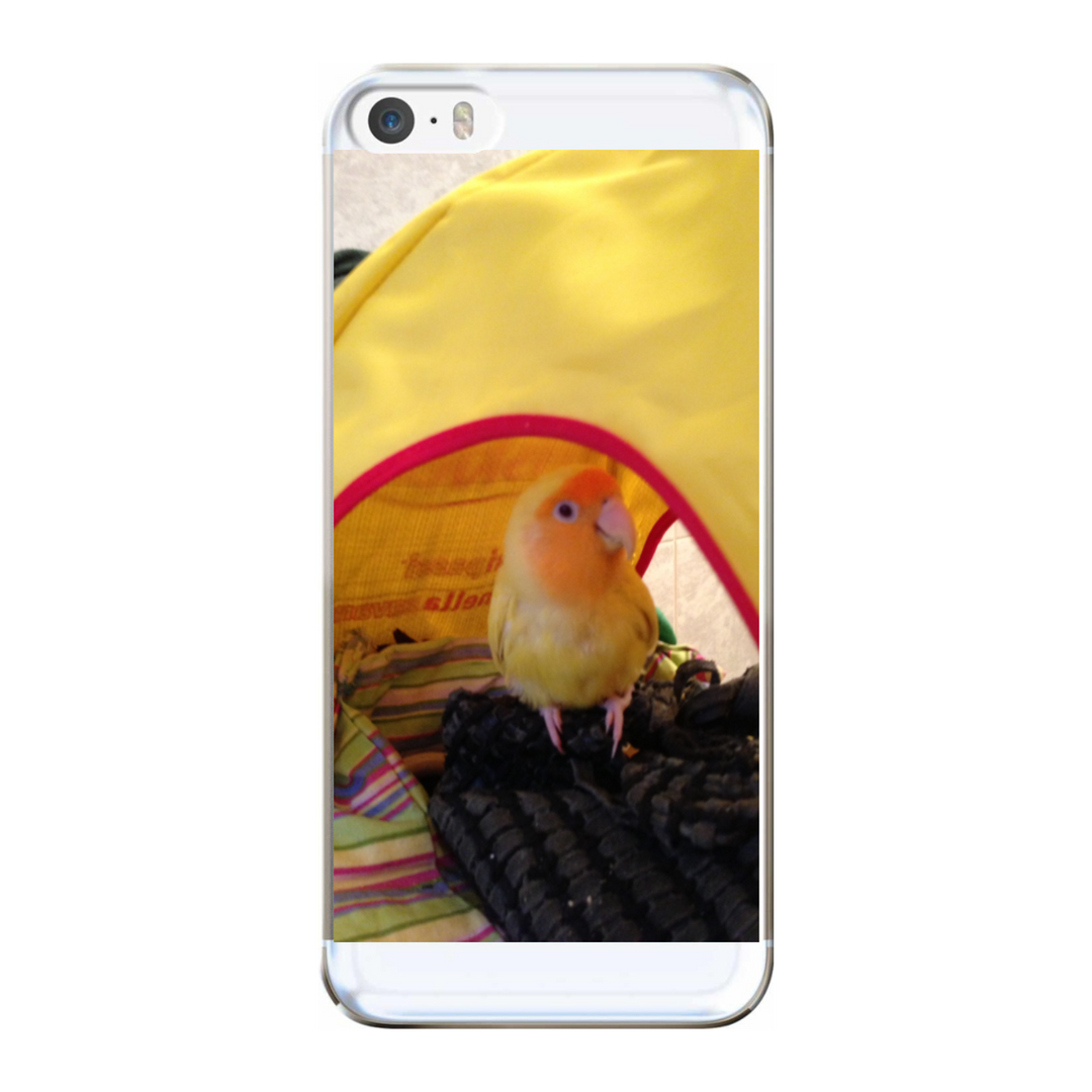 Cover personalizzata iPhone 5s