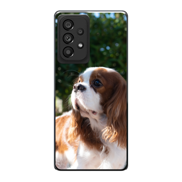Cover personalizzata Samsung A33 5G