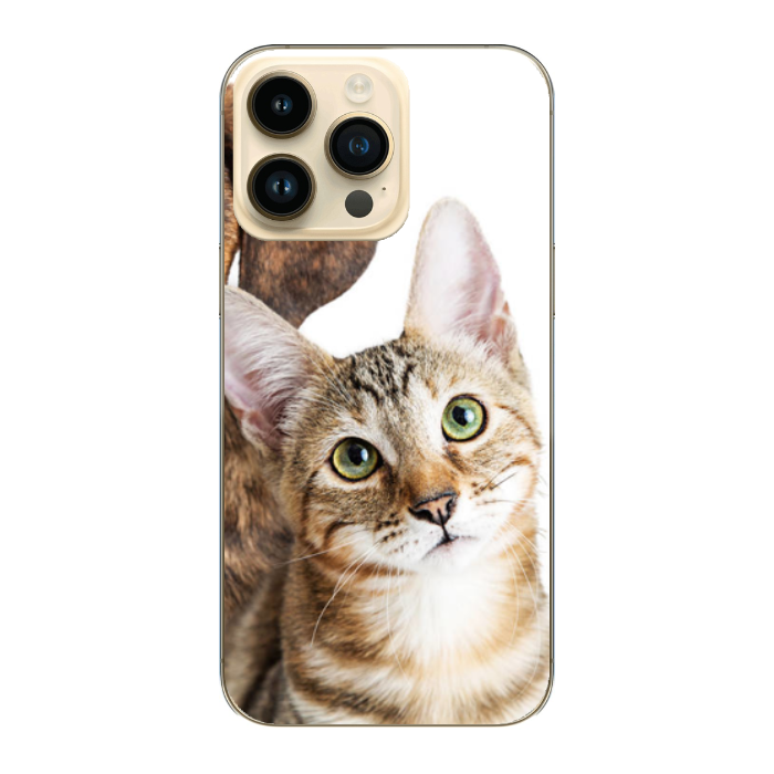 Cover personalizzata iPhone 14 Pro Max