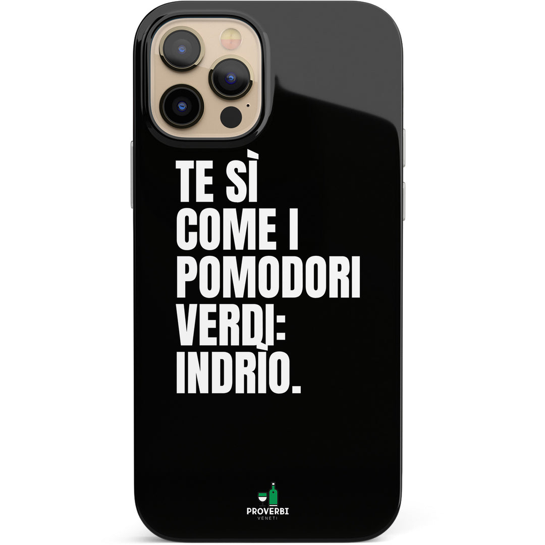 Cover Pomodori verdi dell'album Coesìon domìeventiquatro di Proverbi veneti per iPhone, Samsung, Xiaomi e altri