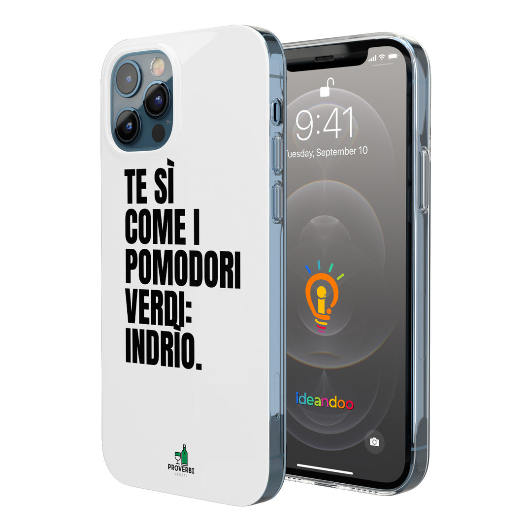 Cover Pomodori verdi dell'album Coesìon domìeventiquatro di Proverbi veneti per iPhone, Samsung, Xiaomi e altri